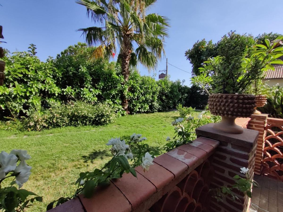 Delle Palme Aci Trezza