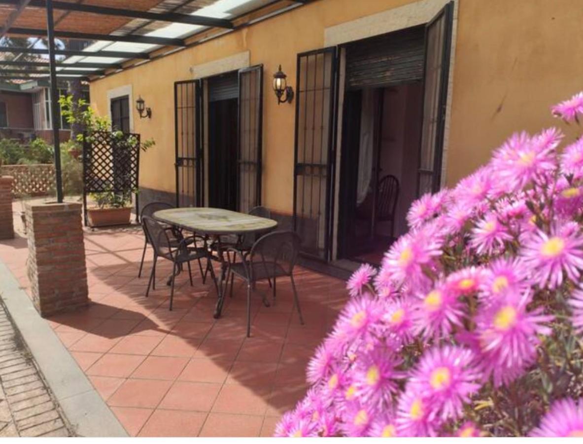 Aparthotel Delle Palme Aci Trezza